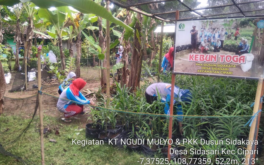 Pemberdayaan PKK Dusun Sidakaya Desa Sidasari Dalam Menunjang Ketahanan Pangan Melalui Pemanfaatan Lahan Kosong untuk Toga