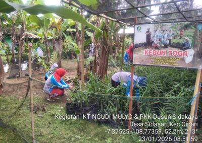 Pemberdayaan PKK Dusun Sidakaya Desa Sidasari Dalam Menunjang Ketahanan Pangan Melalui Pemanfaatan Lahan Kosong untuk Toga