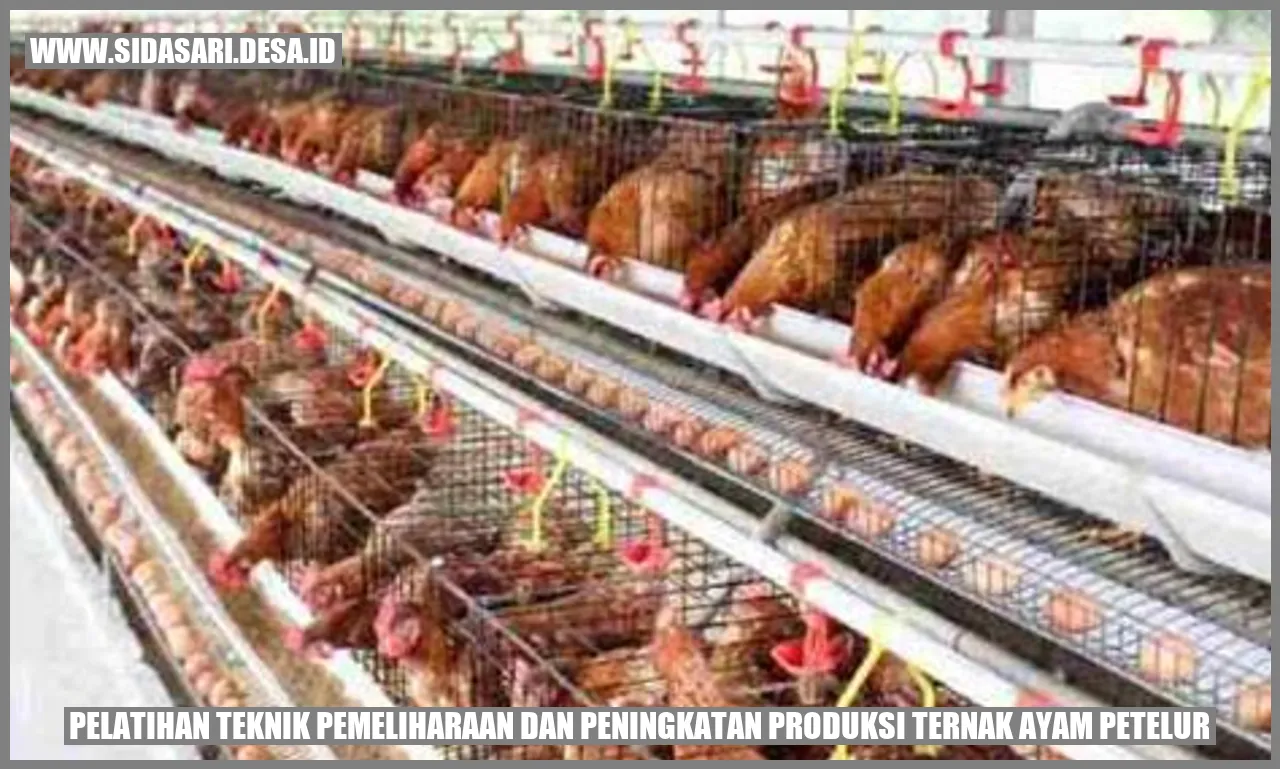 Pelatihan Dasar Pemeliharaan Ayam Petelur