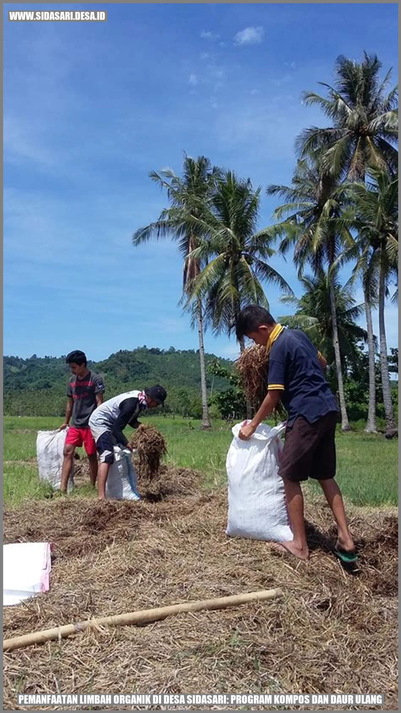 Pemanfaatan Limbah Organik di Desa Sidasari: Program Kompos dan Daur Ulang