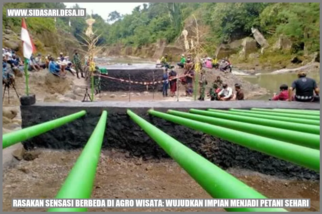 Pesona Agro Wisata Desa Sidasari